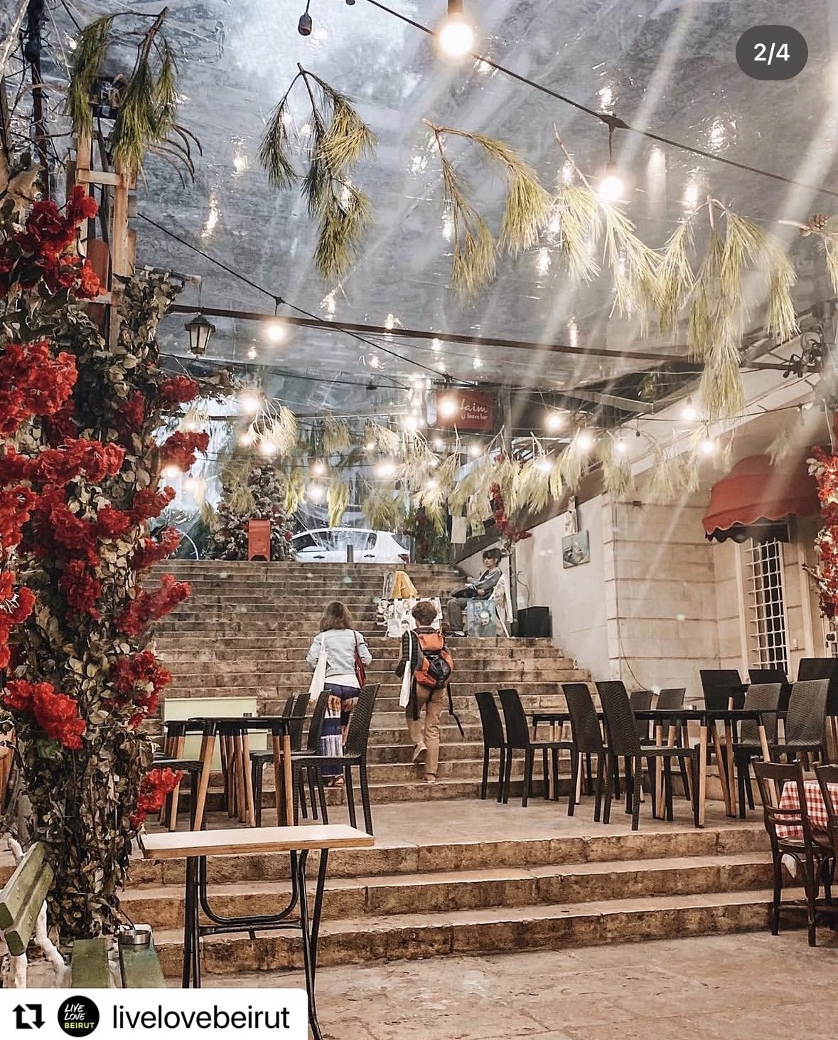 Guests walking up the stone stairs past red flowers and hanging string lights