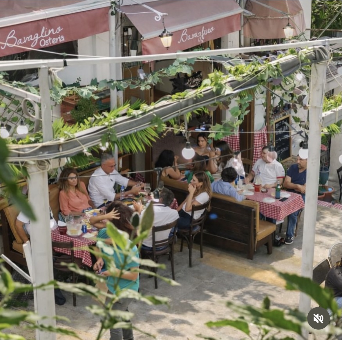 Bavaglino Osteria terrace full of guests under vines, awnings and red checked tablecloths
